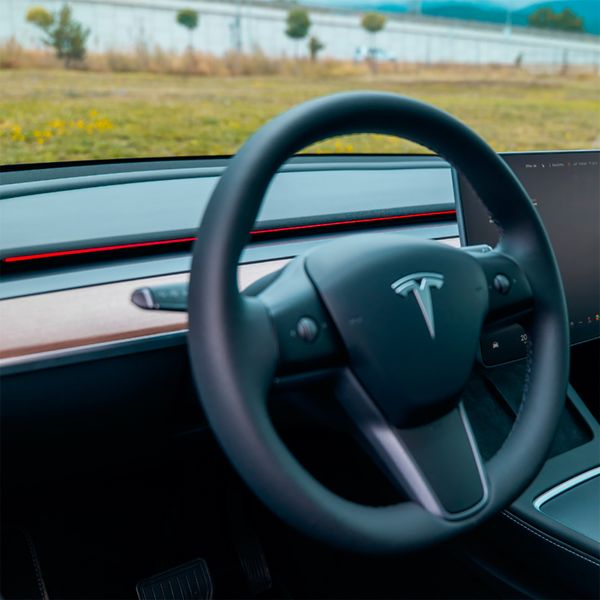 S3XY Strip - Tesla Model 3 & Y